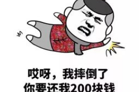 定安为什么选择专业追讨公司来处理您的债务纠纷？